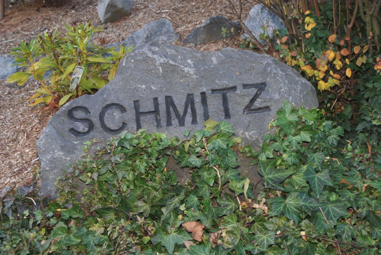 Ferienwohnung Schmitz Anschau Exteriér fotografie